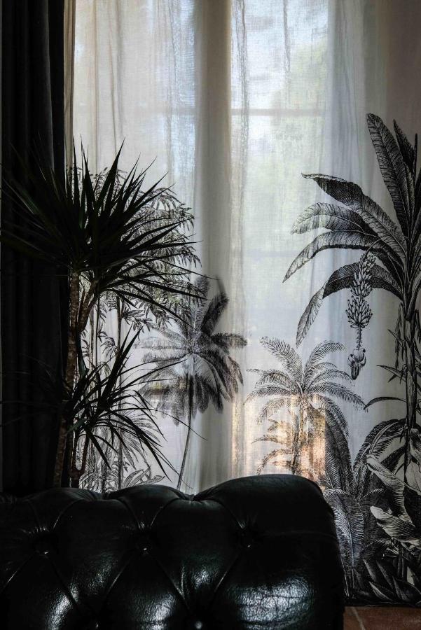 Villa Des Antiquaires Бедарье Экстерьер фото